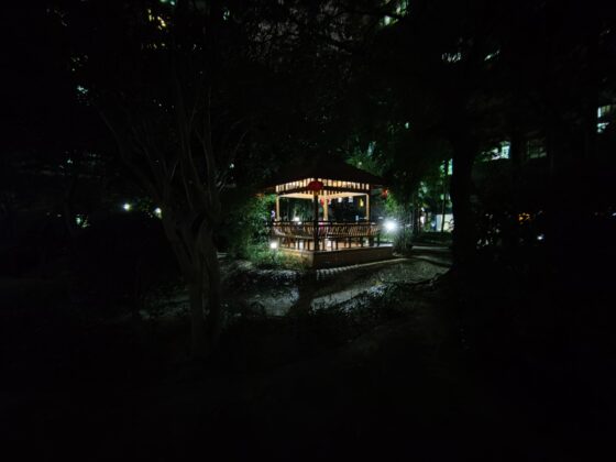 OnePlus 8T wide angle night (2)