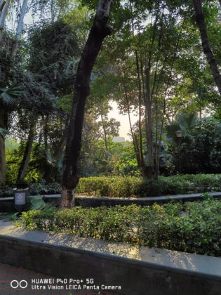 P40 Pro Plus Main Cam (1)