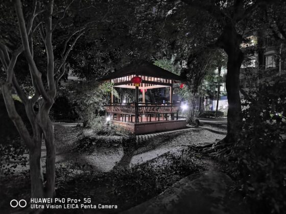 P40 Pro Plus wide-night