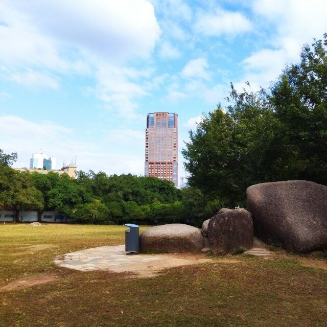 POCO M3 Main Camera (14)