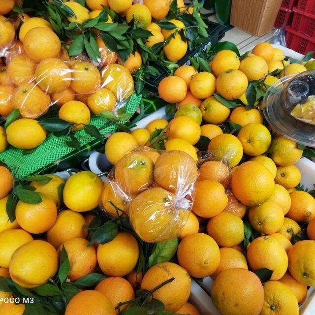 POCO M3 Main Camera (3)