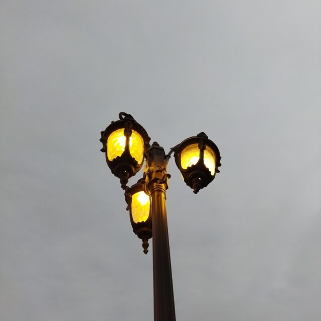POCO M3 Main Camera (8)
