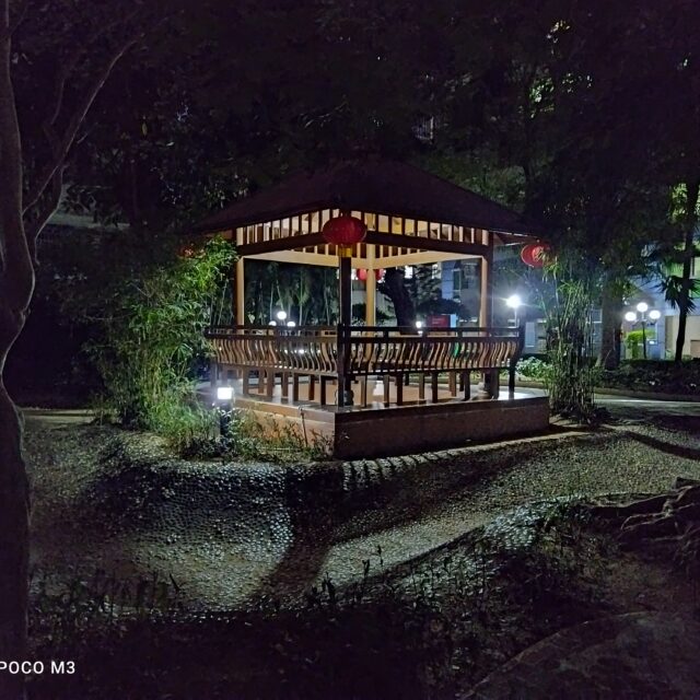 POCO M3 Night Photos (3)