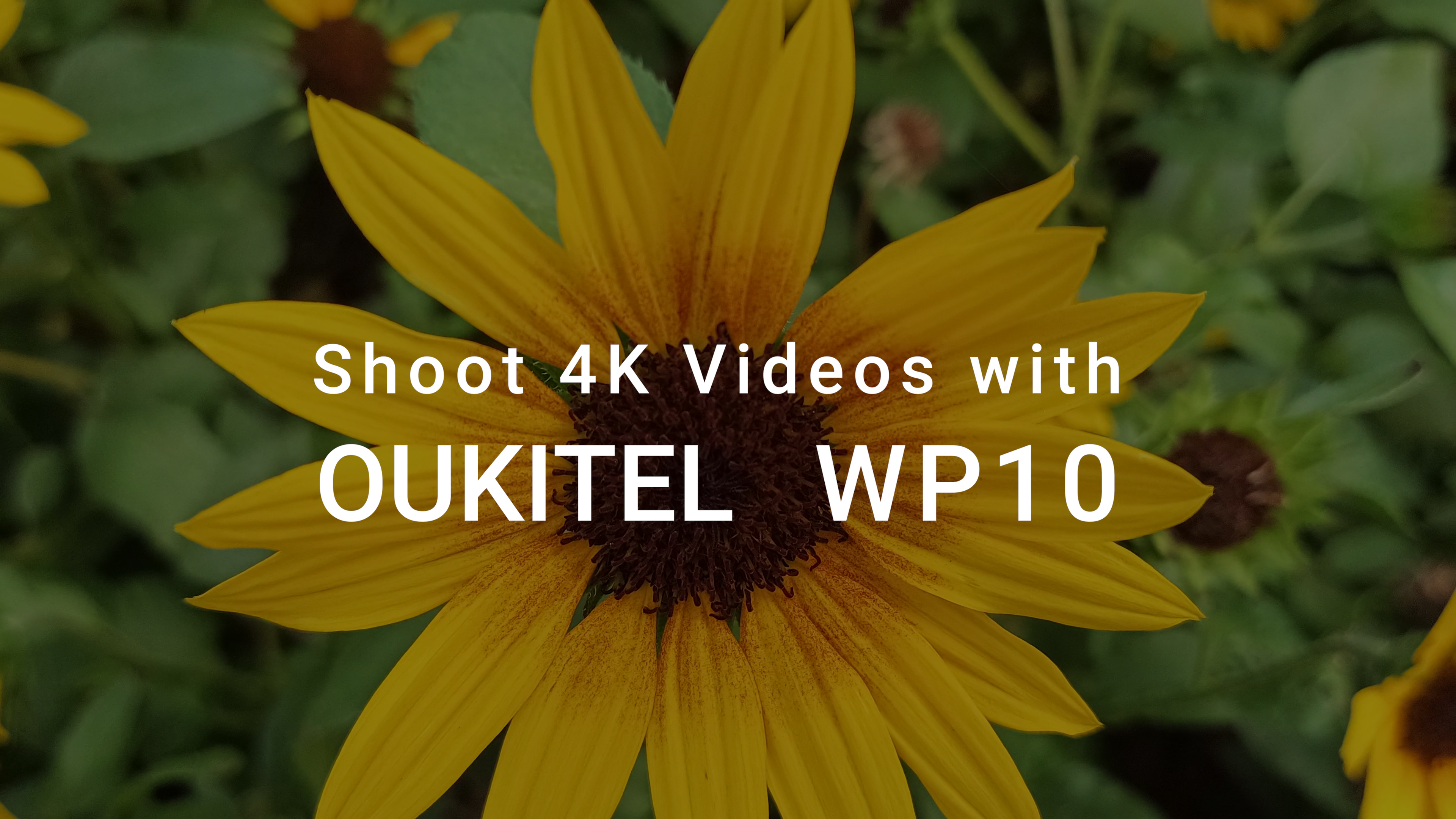 يجب أن يكون للهاتف الذكي Oukitel WP10 5G Rugged إعداد كاميرا رباعية