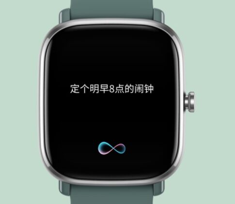 amazfit google assistant