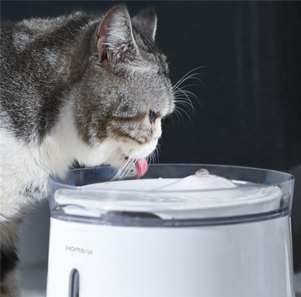 Xiaomi launches the Homerun Pet Water Dispenser for ¥199 (30