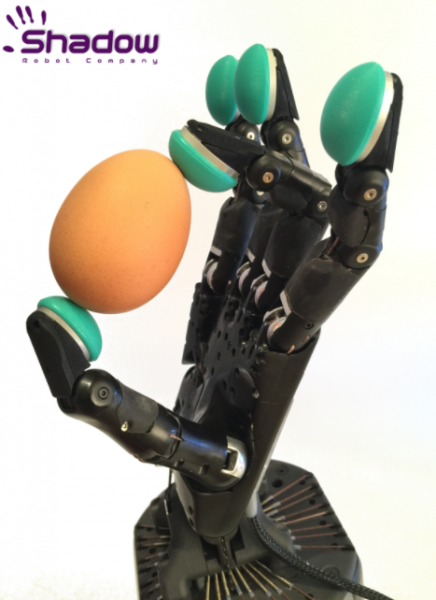 Shadow Robot Dexterous Hand