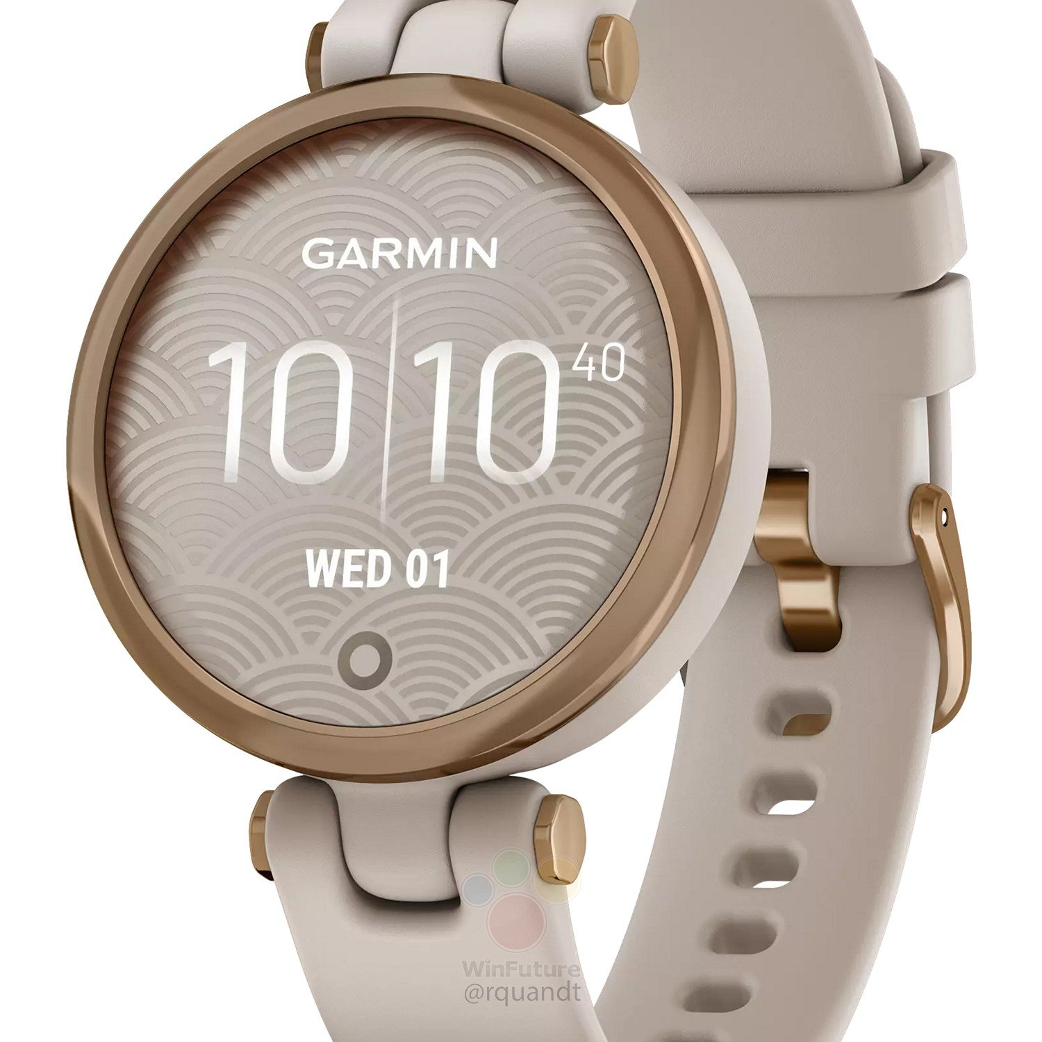 garmin lily connect iq