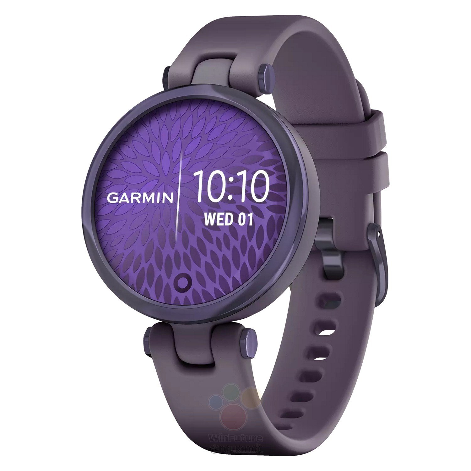 garmin lily connect iq