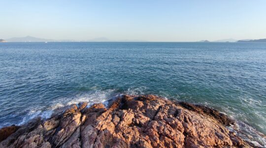 Mi 11 Ultra Wide Angle Samples (1)