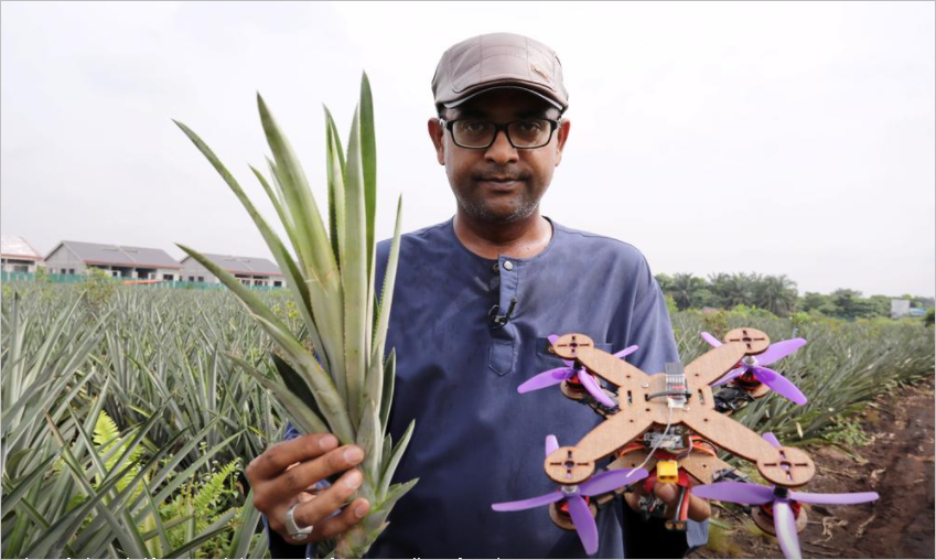 Malaysian researchers showcase a drone manufactured from recycled pineapple leaves 5 Pineapple Drone