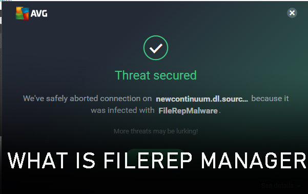 what is filerep manager