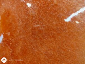 Moto Edge S Macro_20210220_102005861