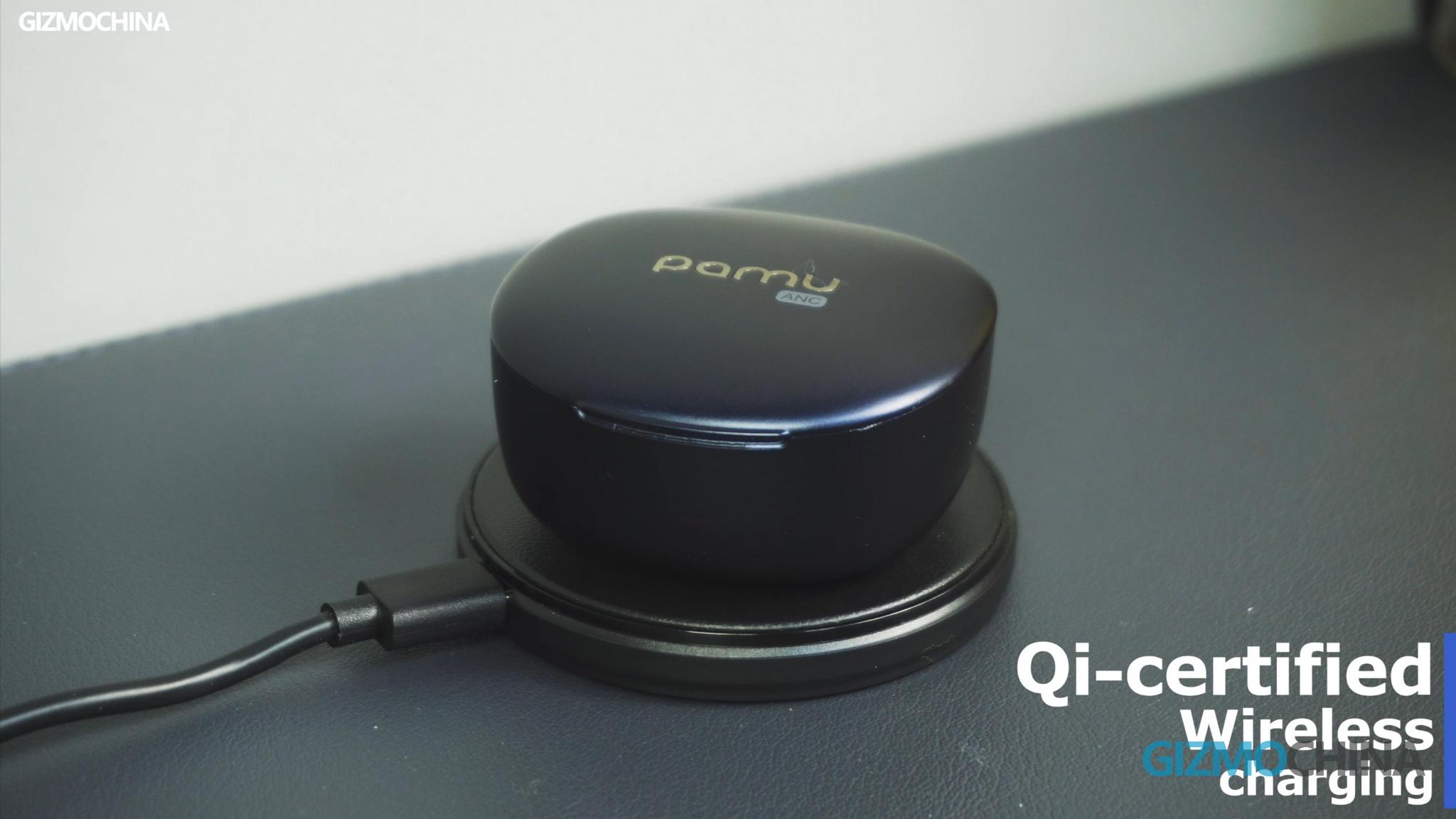 pamu earbuds review