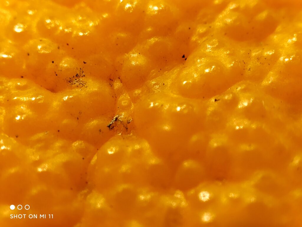 Xiaomi Mi 11 Macro 03