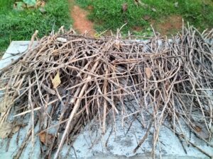 OPPO F19 Camera Sample