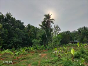 OPPO F19 Camera Sample