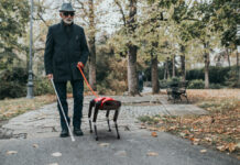 Chinese robotics firm unveils AlphaDog, a cheaper alter ego to Boston Dynamics’ Spot Alpha Dog
