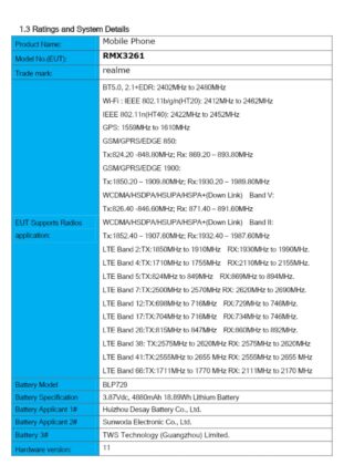 Realme RMX3261 FCC