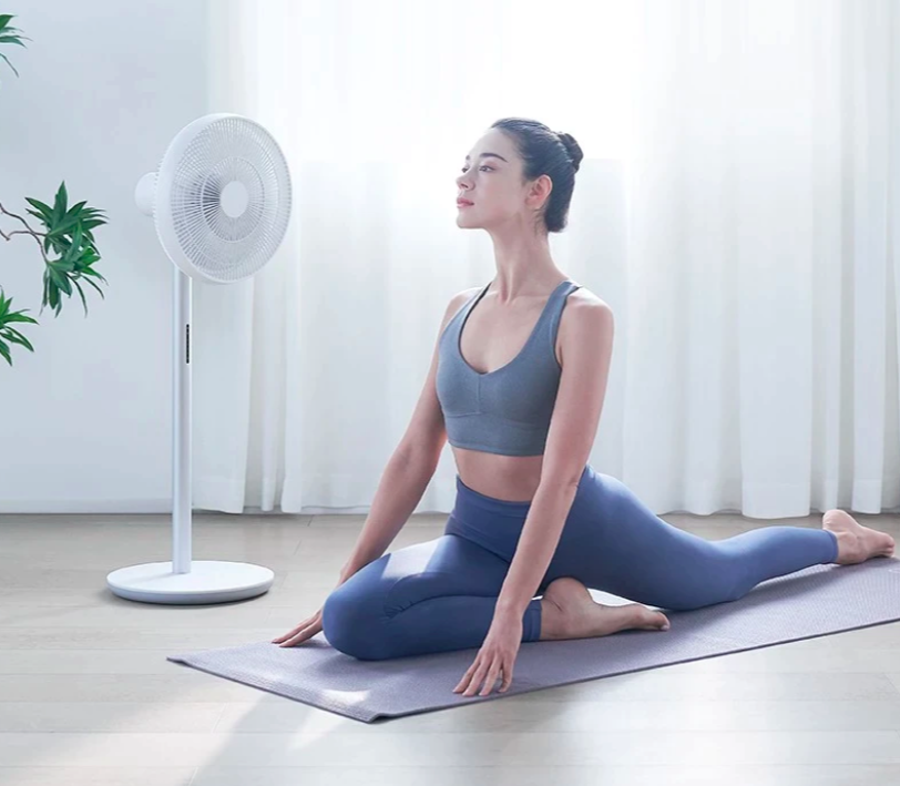 Smartmi DC Inverter Floor Fan 3 2