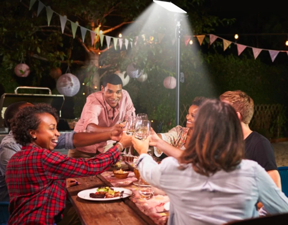 Xanes 84 LED Outdoor Light