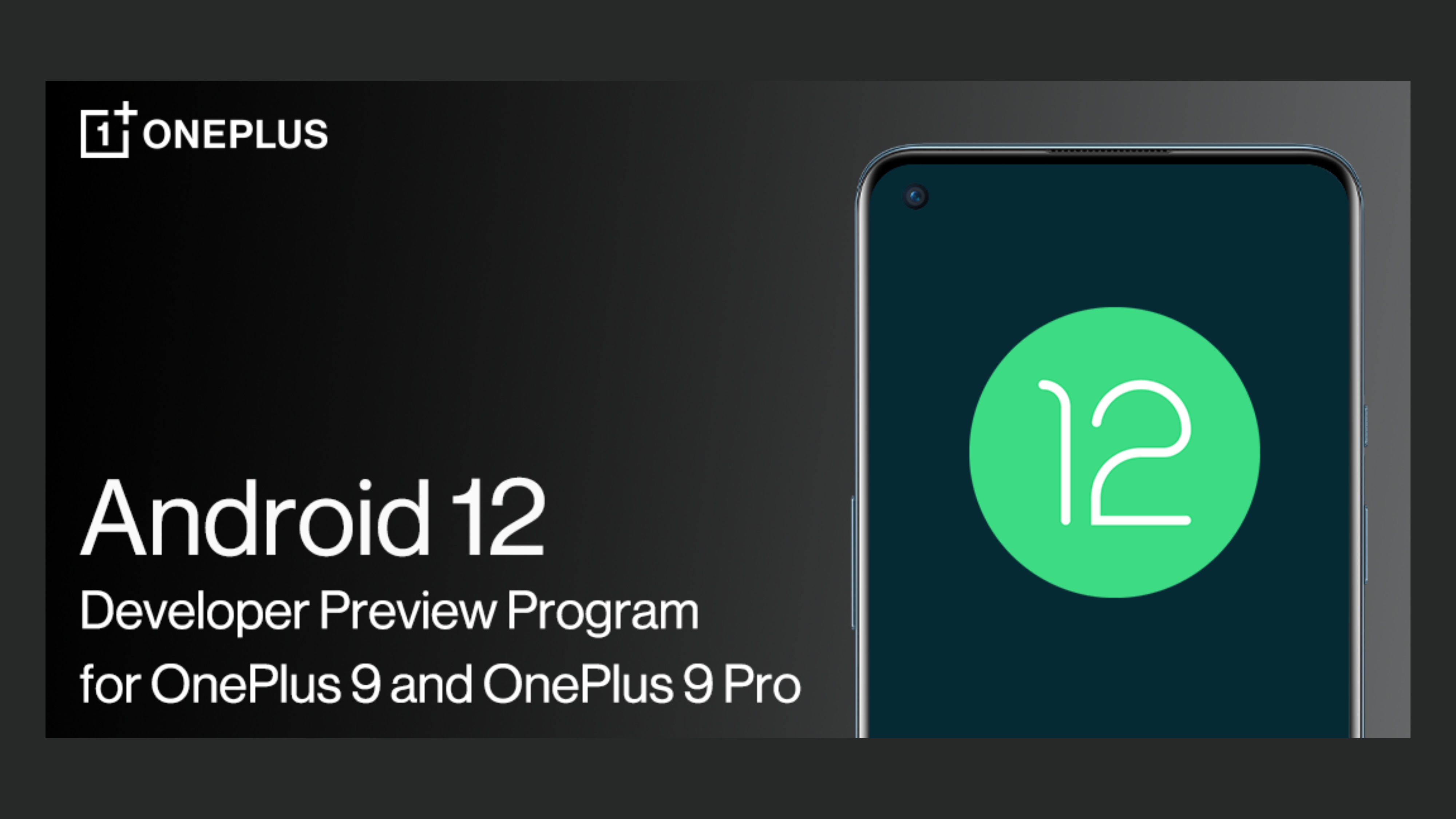 OnePlus 9 Pro Android 12 Developer Preview