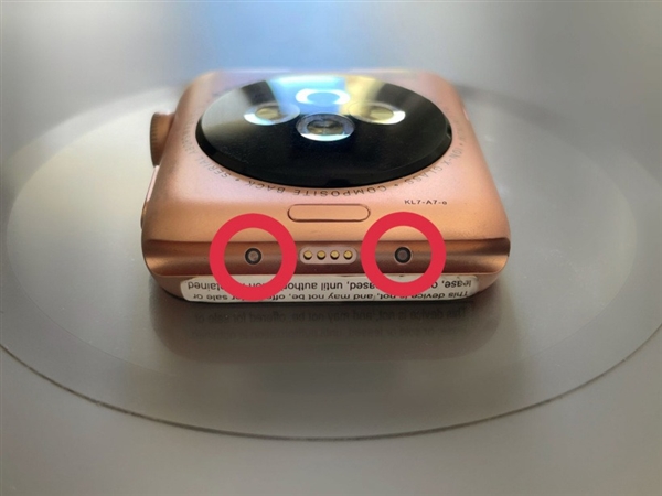 power apple watch se
