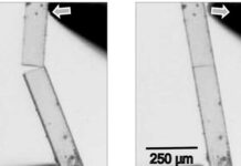 Indian scientists develop world’s hardest self healing material, could be used in future phones India
