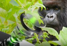 Corning announces Gorilla Glass DX and DX+ for protecting smartphone camera lenses Corning Gorilla Glass DX and DX+