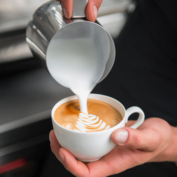 Sonifer Espresso Machine