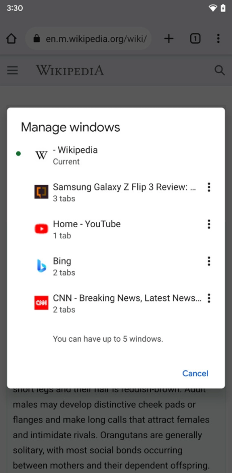 why do two chrome windows open