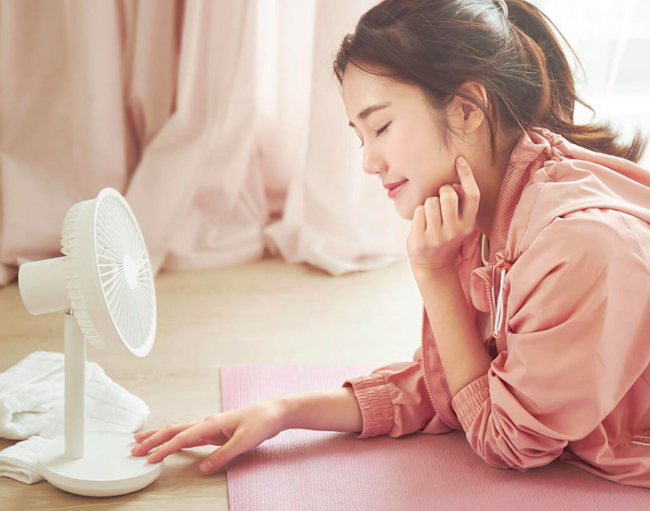  Xiaomi Desktop Fan