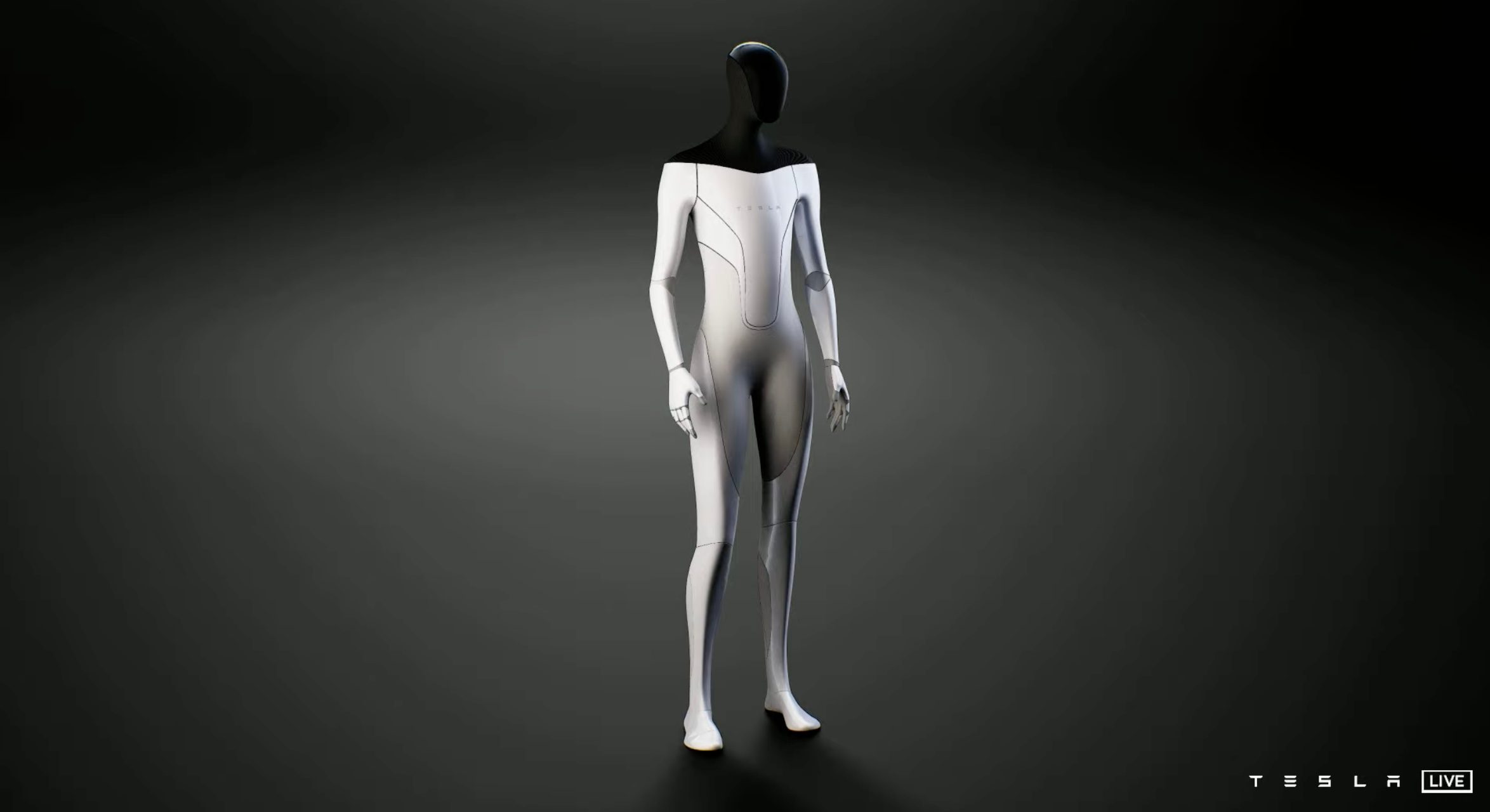 Tesla Bot Humanoid Robot
