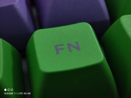 Mi 11 Lite NE Macro (1)