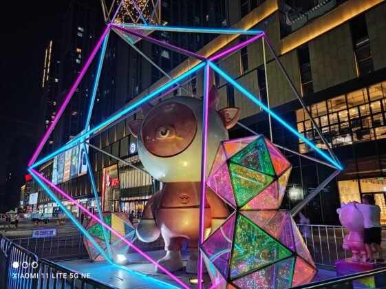 Mi 11 Lite NE Main Cam (13) Night