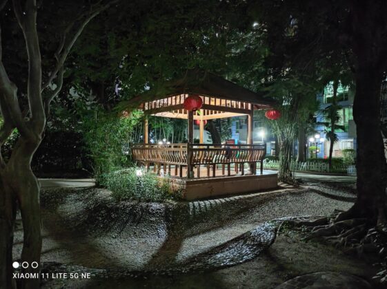 Mi 11 Lite NE Main Cam (9) Night