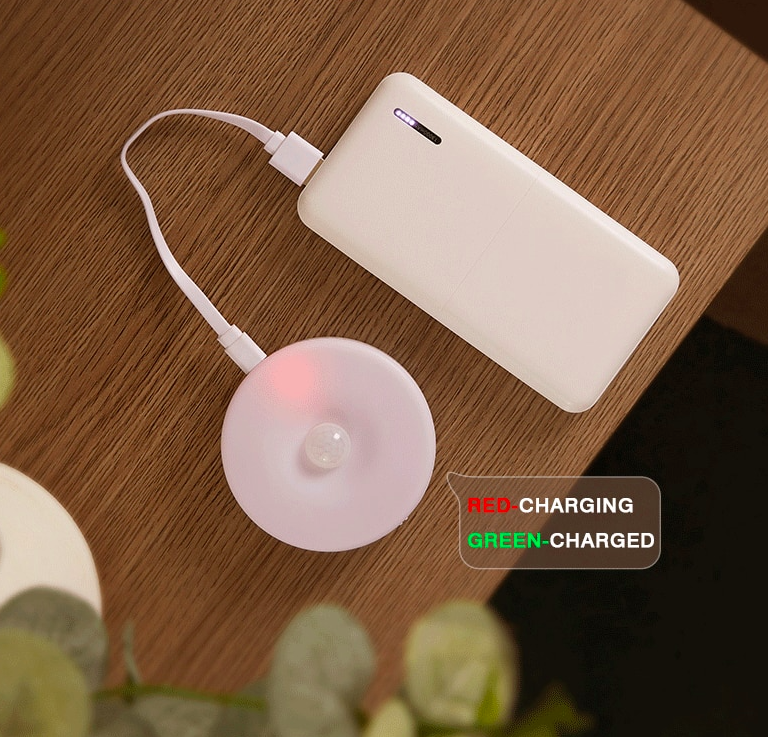 Moonshadow Sensor Night light