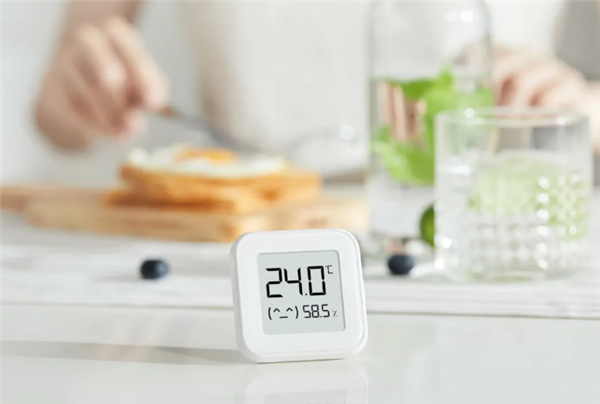 Xiaomi Electronic Thermometer & Hygrometer