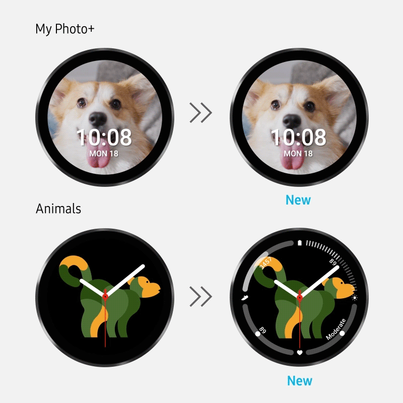 Galaxy Watch4 My Photo+ and Animals