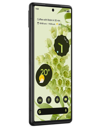 Google Pixel 6 Leak