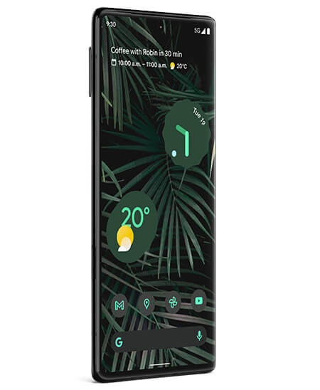 Google Pixel 6 Pro Stormy Black Leak