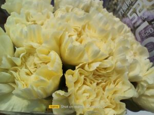 Realme GT Neo2 macro (2)
