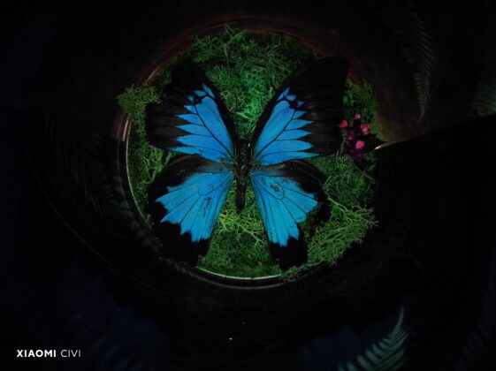 Xiaomi CIVI Main (8)