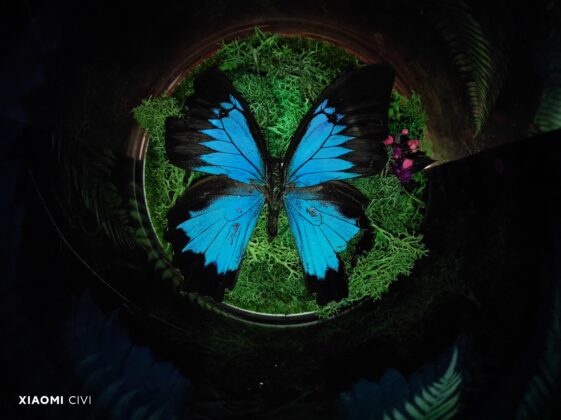 Xiaomi CIVI Main (9)