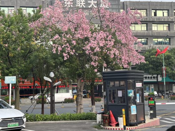 iphone 13 pro 2x (1)