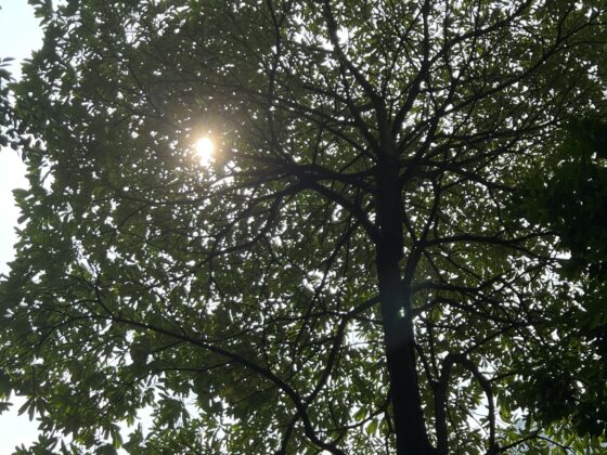 iphone 13 pro 2x (10)