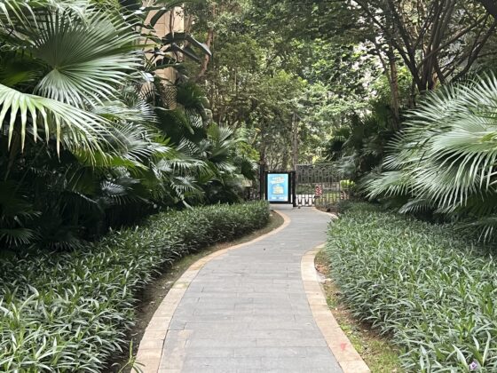 iphone 13 pro 2x (3)