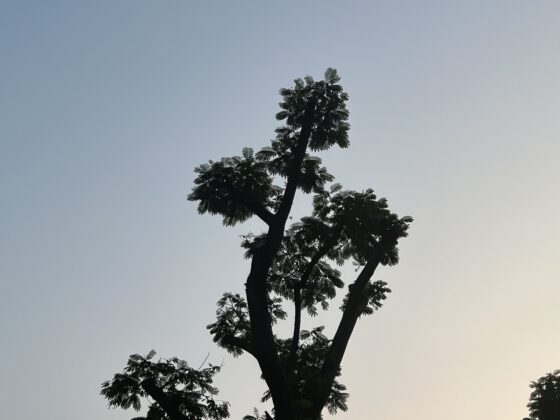 iphone 13 pro 2x (4)