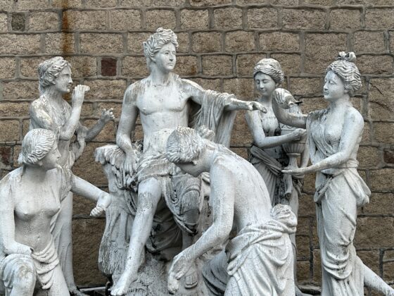 iphone 13 pro 2x (5)