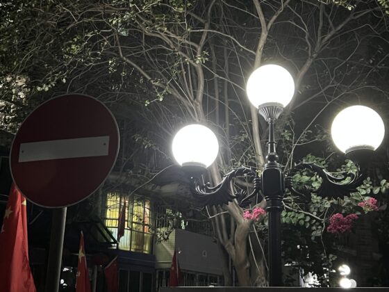 iphone 13 pro 2x (7)